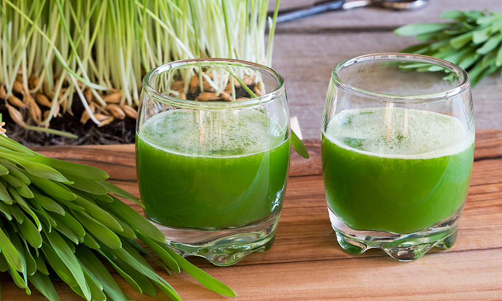 研发新工艺 大麦叶卖出人参价