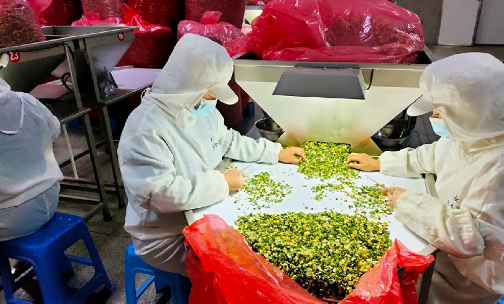 脱水蔬菜和蔬菜干有什么区别